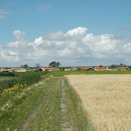 Friedrichskoog-Deichblick 9 Villa Dış mekan fotoğraf
